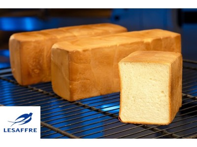 25-27 ноября Семинар у наших партнёров г. Санкт-Петербург